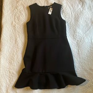 Ann Taylor Loft fabulous dress new with tags